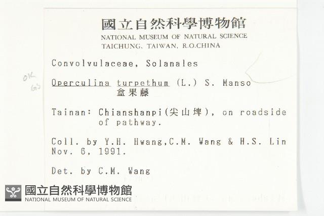 盒果藤藏品圖，第2張