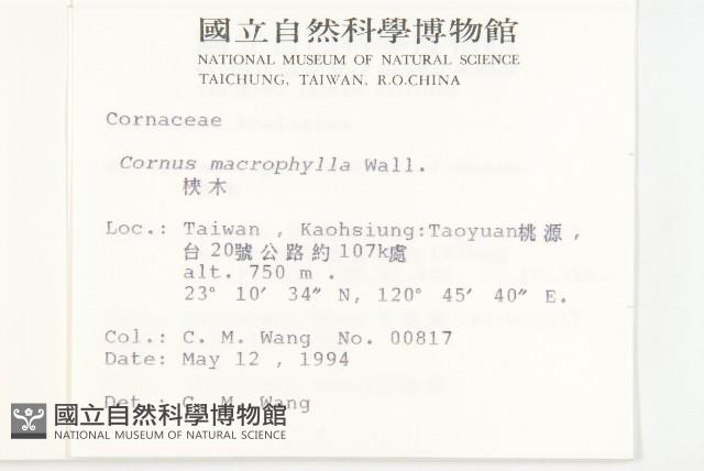 梜木藏品圖，第2張