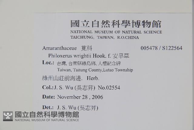 安旱草藏品圖，第2張