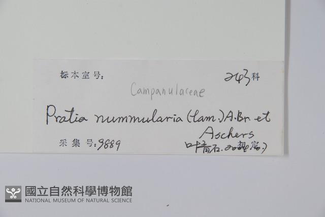 Accession Number:S102564 Collection Image, Figure 2, Total 2 Figures