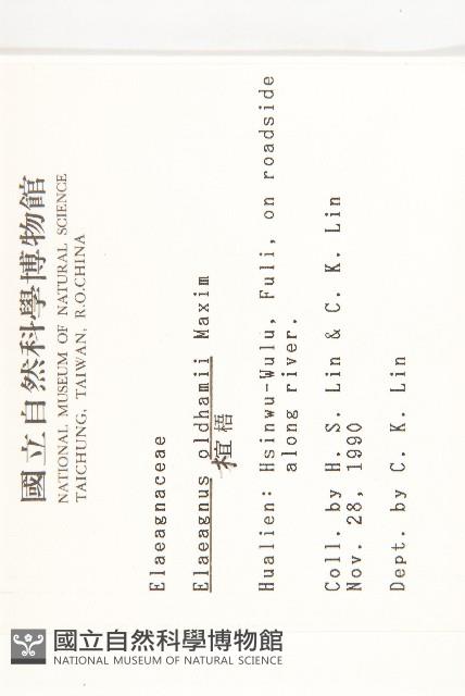 宜梧藏品圖，第2張