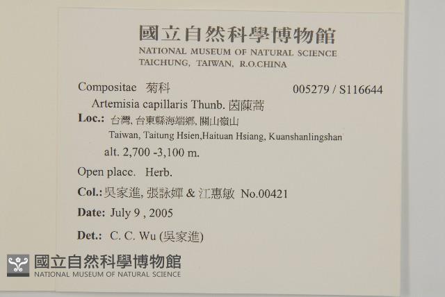 高山艾藏品圖，第2張