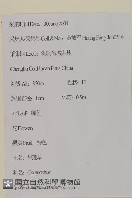 平柄菝契、西南菝契藏品圖，第2張