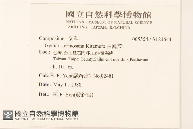 白鳳菜藏品圖，第2張