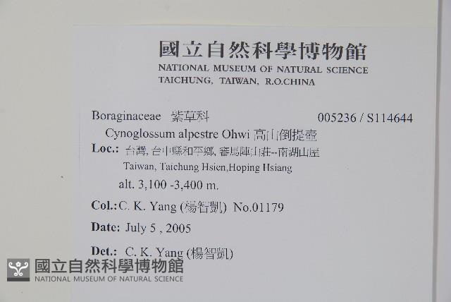 高山倒提壺藏品圖，第5張