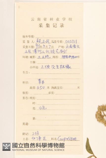 華澤蘭藏品圖，第2張