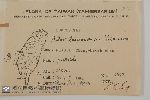 臺灣馬蘭藏品圖，第2張