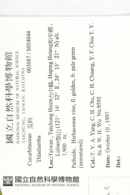 青牛膽藏品圖，第2張