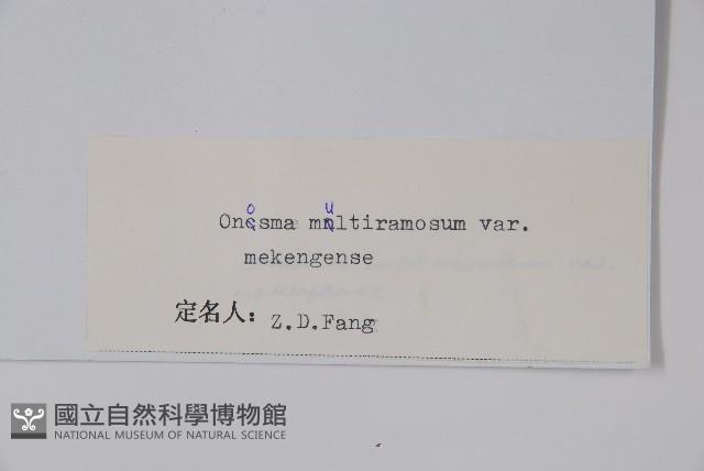 瀾滄滇紫草藏品圖，第2張