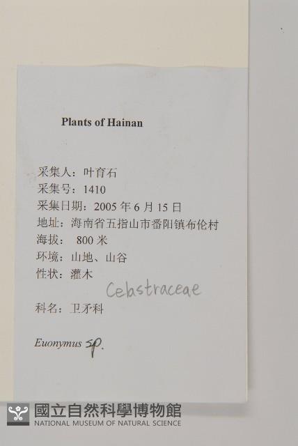 登錄號:S127044藏品圖，第2張