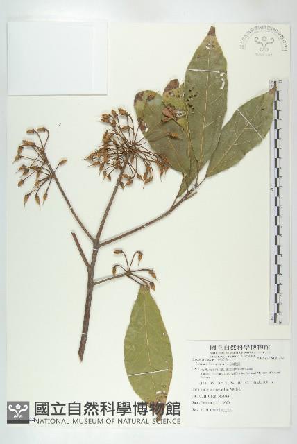 猴歡喜藏品圖，第1張