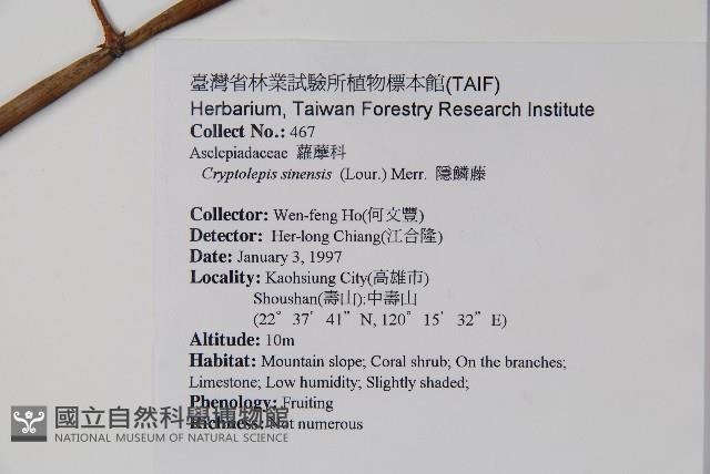 隱鱗藤藏品圖，第2張