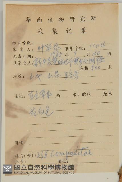 珍珠蒿、奇蒿藏品圖，第2張