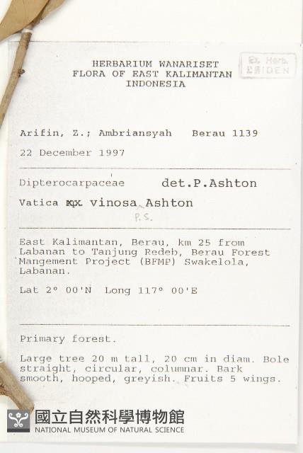 登錄號:S055244藏品圖，第2張