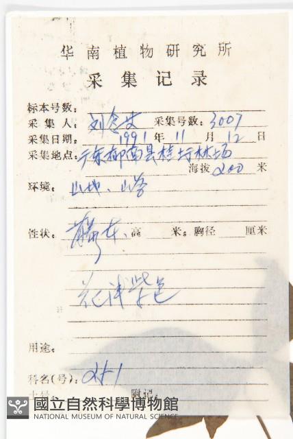 番仔藤藏品圖，第2張