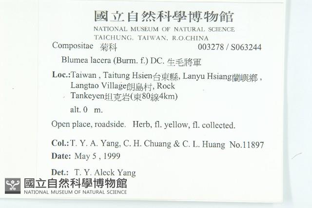 生毛將軍藏品圖，第5張