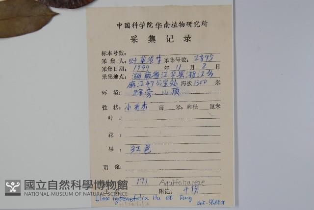 登錄號:S087244藏品圖，第2張