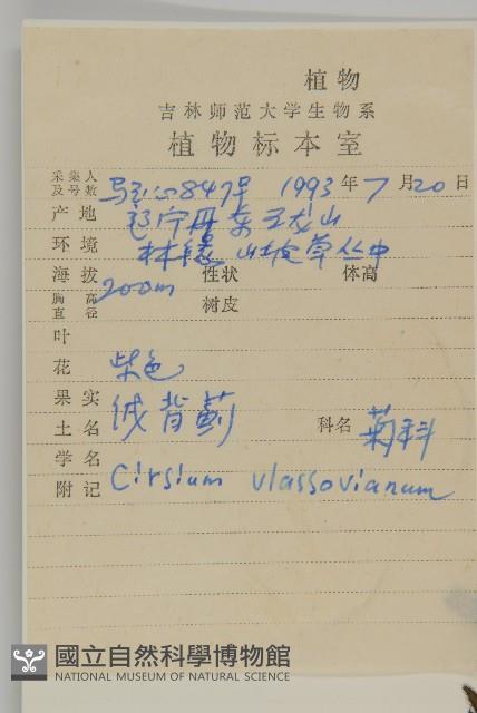 絨背薊藏品圖，第2張