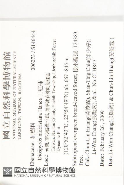 山紅柿藏品圖，第2張