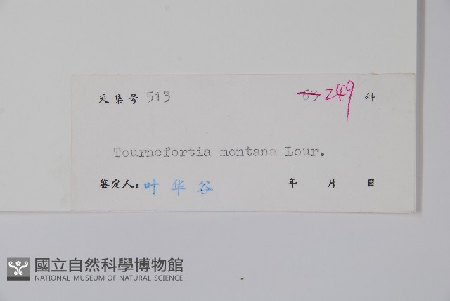 紫丹藏品圖，第2張