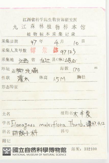 木半夏藏品圖，第2張