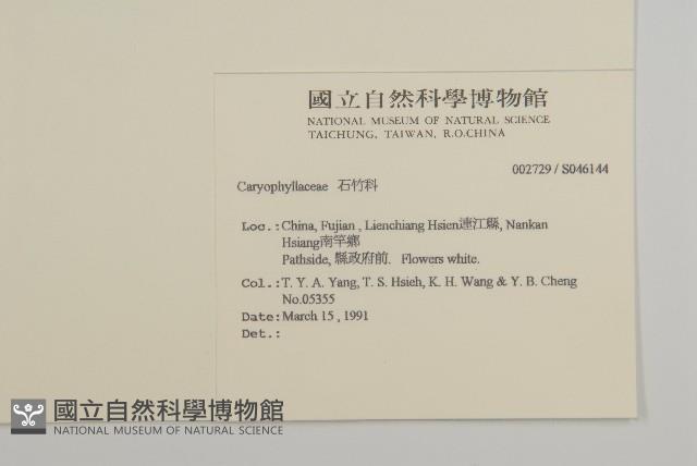 登錄號:S046144藏品圖，第2張