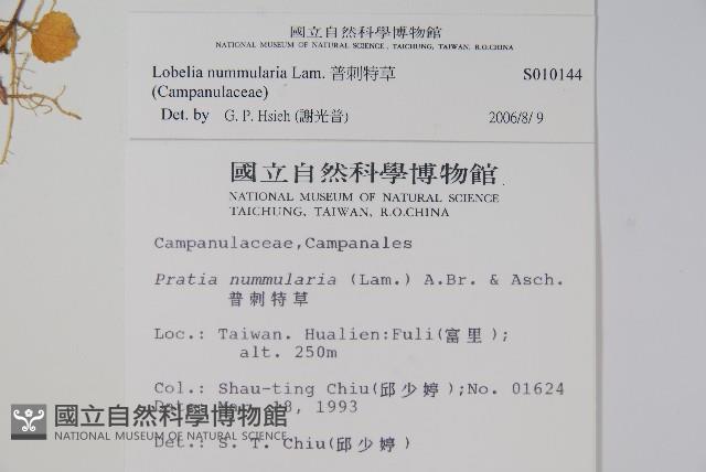 普刺特草藏品圖，第2張