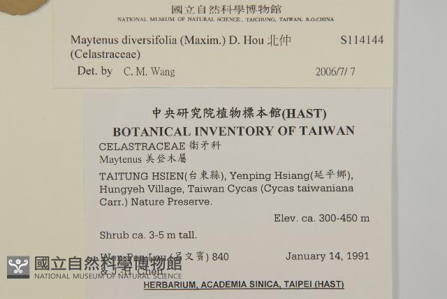 北仲, 刺裸實藏品圖，第2張