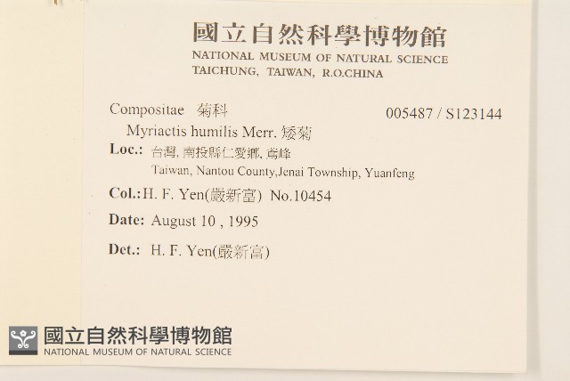 矮菊藏品圖，第2張