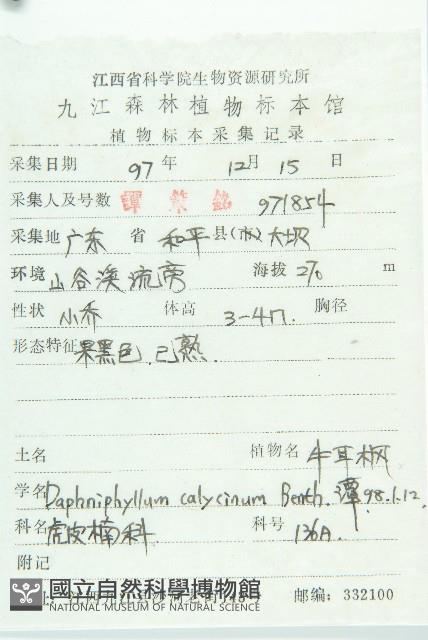 牛耳楓藏品圖，第2張