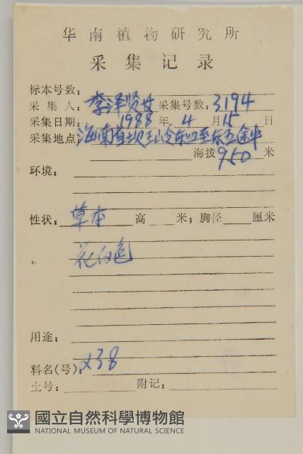 Accession Number:S033144 Collection Image, Figure 2, Total 3 Figures