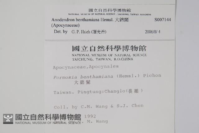 大錦蘭藏品圖，第2張