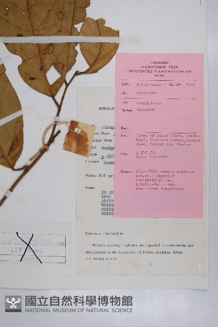 登錄號:S047144藏品圖，第2張