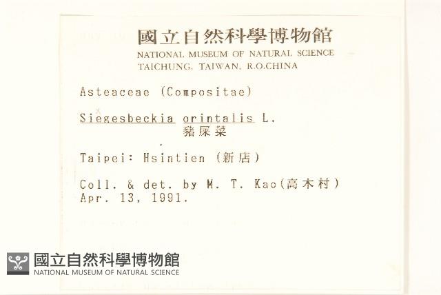 豨薟藏品圖，第2張