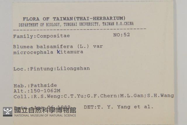 艾納香藏品圖，第2張