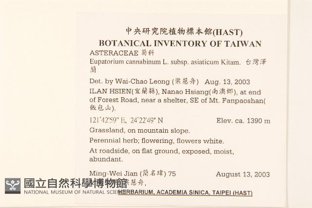 台灣澤蘭藏品圖，第2張