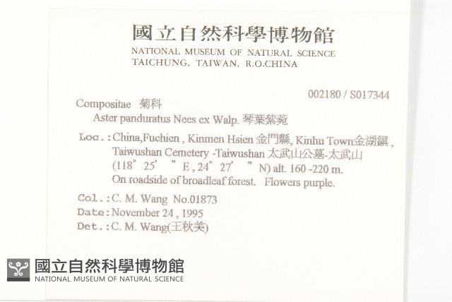 琴葉紫菀藏品圖，第2張