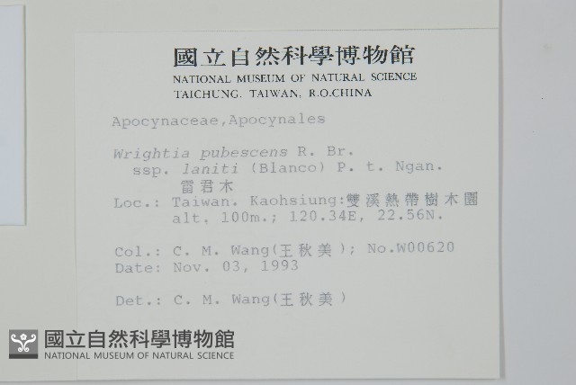 雷君木藏品圖，第2張