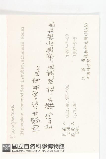 醋柳藏品圖，第2張