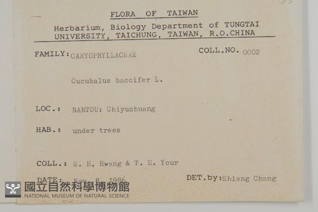 狗筋蔓藏品圖，第2張