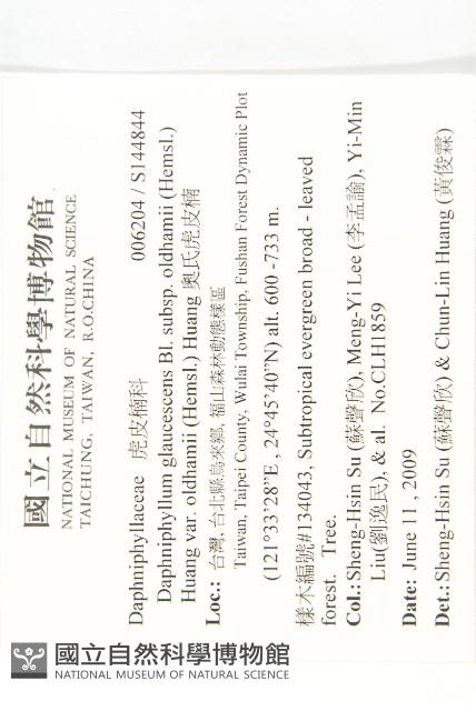 奧氏虎皮楠藏品圖，第2張