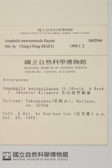 玉山抱莖籟簫藏品圖，第2張