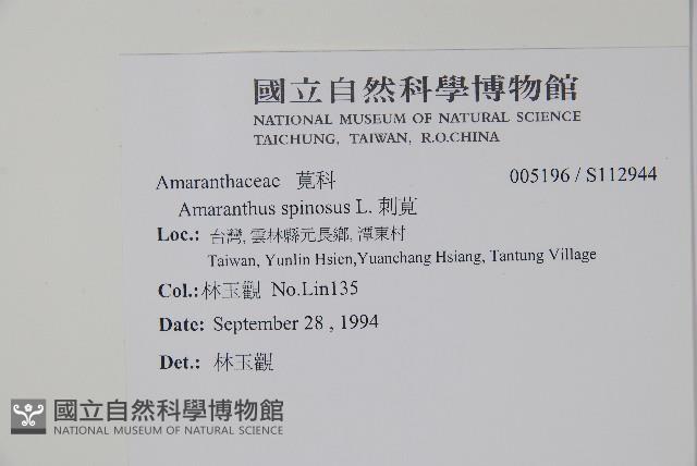 刺莧藏品圖，第2張