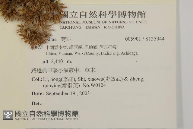 登錄號:S135944藏品圖，第2張