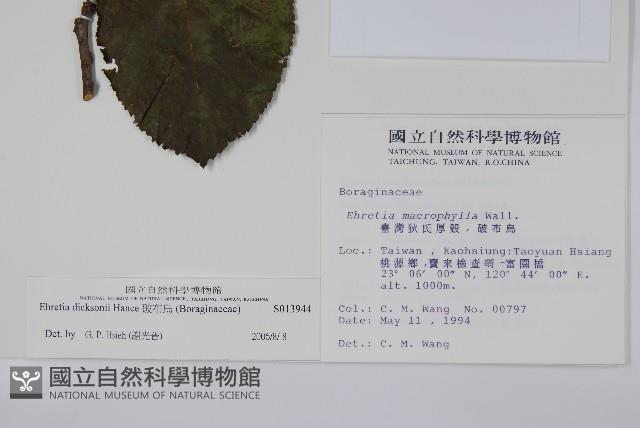 破布烏藏品圖，第2張