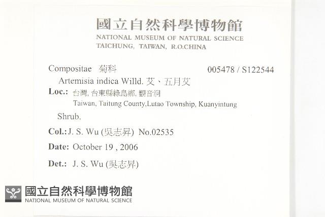 野艾蒿藏品圖，第2張