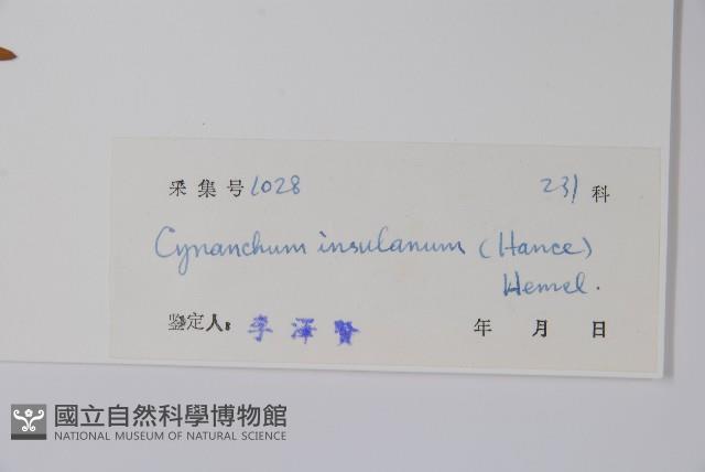 海南杯冠藤藏品圖，第2張