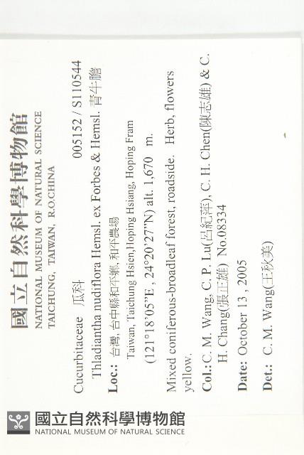 青牛膽藏品圖，第2張