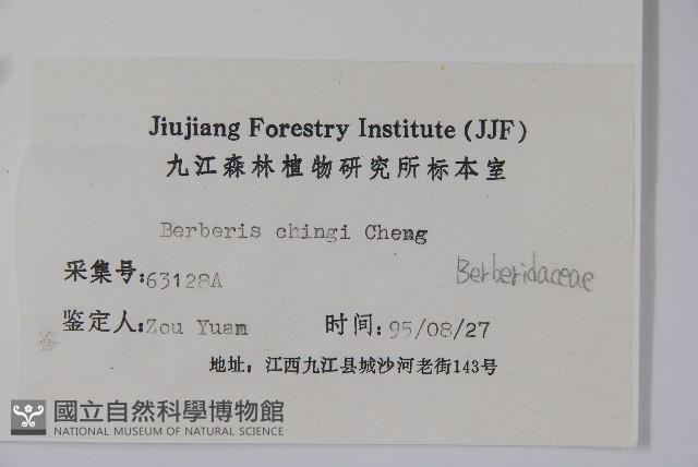 安徽小蘗藏品圖，第2張