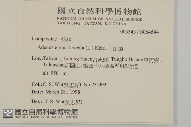 下田菊藏品圖，第2張